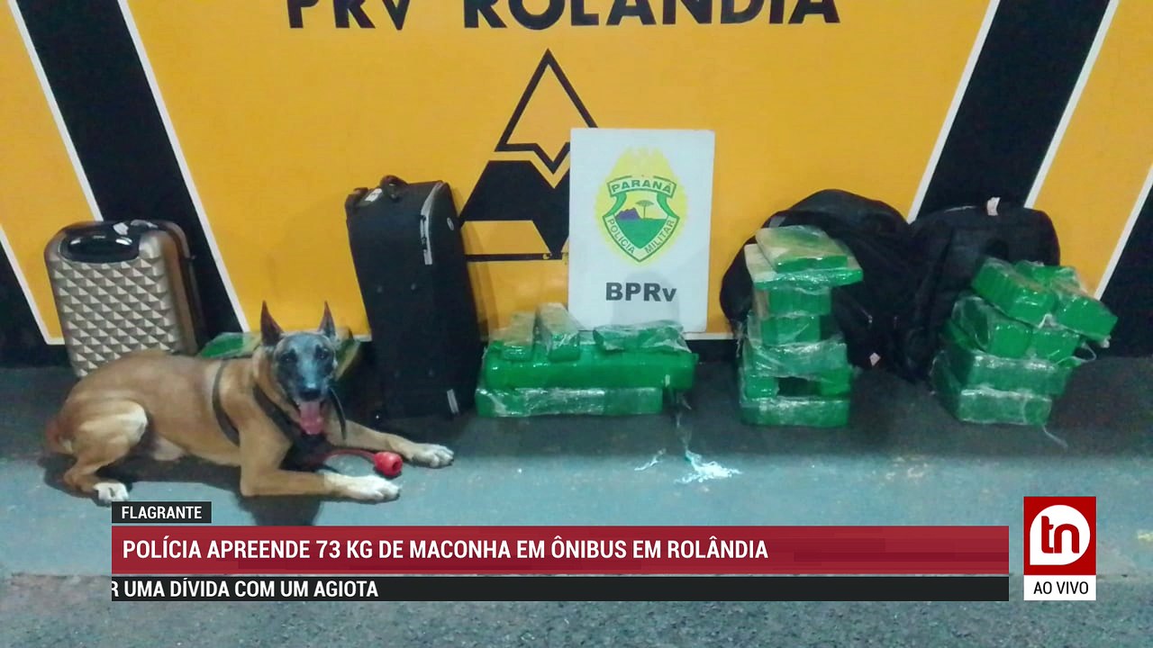 AO VIVO IDOSO É ASSALTADO E AGREDIDO EM APUCARANA E AINDA TODOS OS