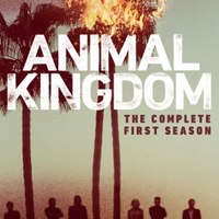 Animal Kingdom Season 2 Full Hd Videos Dailymotion