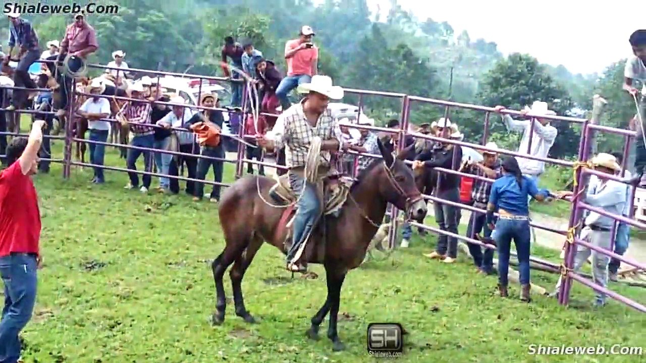 Super Jaripeo Ranchero En San Antonio Ixtatetla Veracruz Mexico A