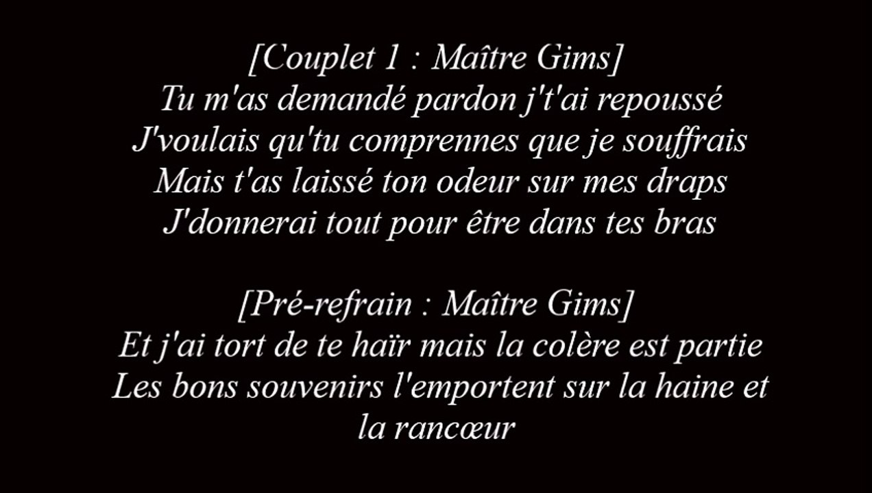 Maitre Gims Je te pardonne Ft Sia ParolesLyrics Vidéo Dailymotion