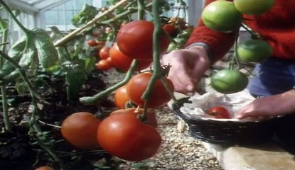 The Victorian Kitchen Garden by Dawn Plant - Dailymotion