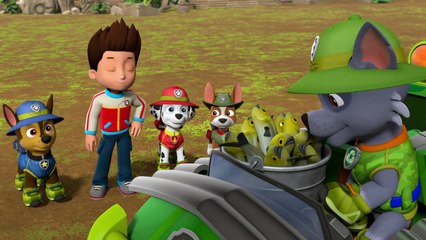 dailymotion paw patrol
