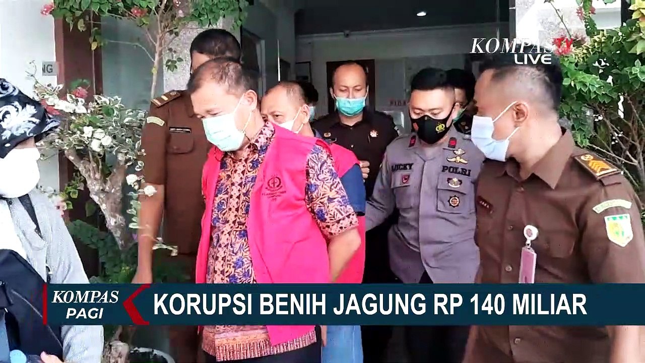 Oknum Asn Jadi Tersangka Kasus Korupsi Pengadaan Benih Jagung Senilai