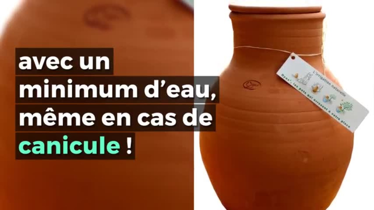 Avec cette astuce plus la peine d arroser vos plantes pendant très lo