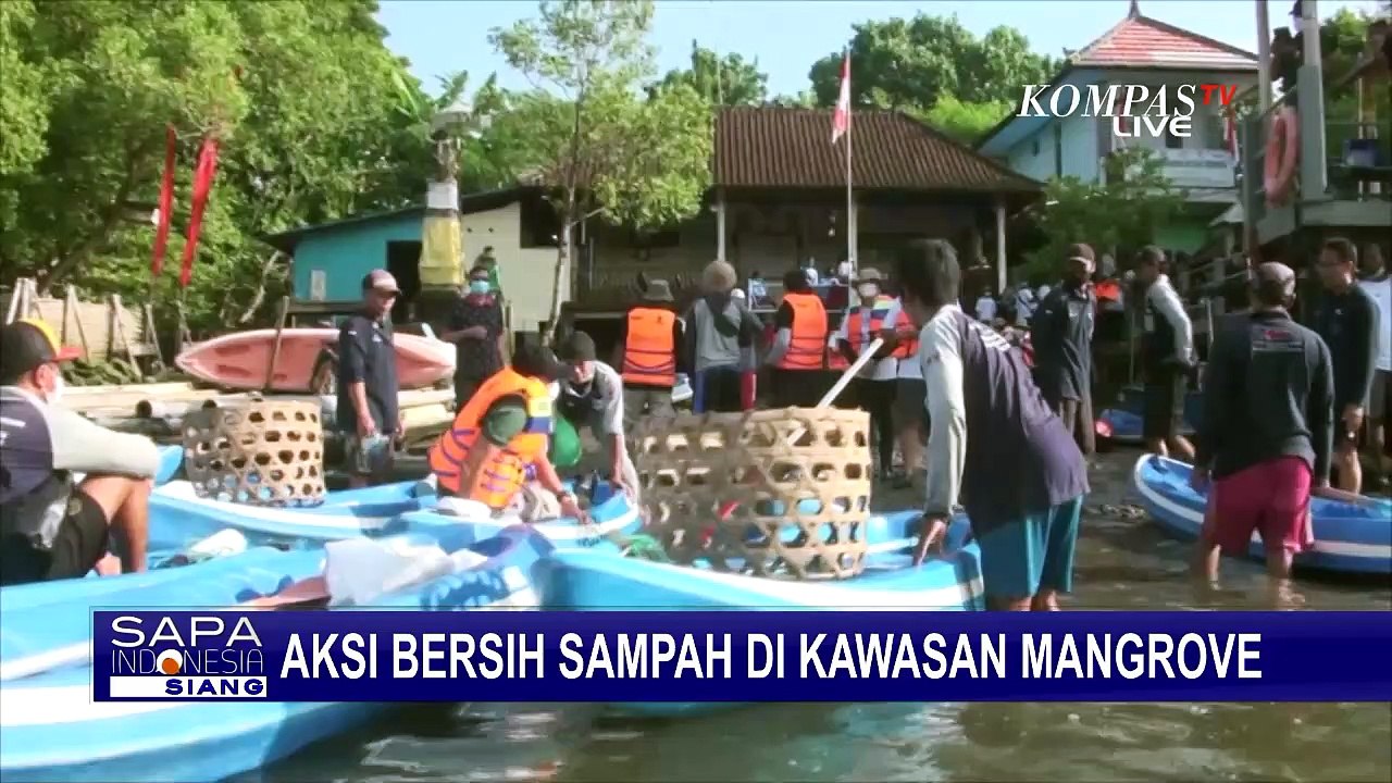 Jelang G Di Bali Sukarelawan Bersih Bersih Kawasan Mangrove Dan