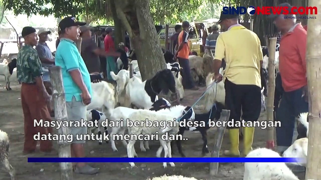 Pasar Hewan Di Jombang Semakin Ramai Jelang Iduladha Video Dailymotion