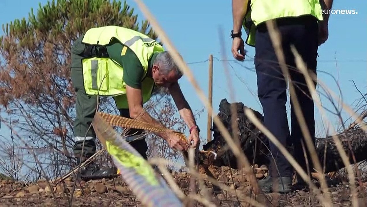 Francia Indagini A Tutto Campo Sui Roghi Nel Sud Est Del Paese Video