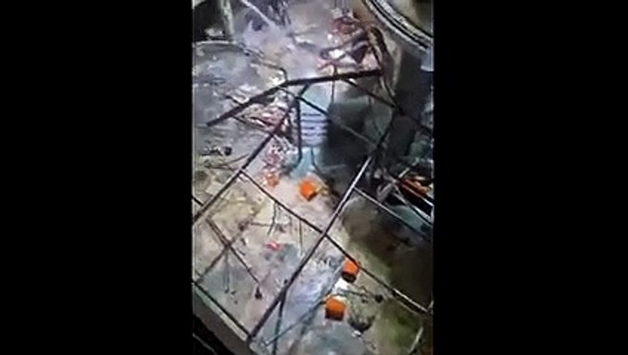 Lo Que Se Sabe Del Inesperado Accidente En El Acuario M S Grande Del