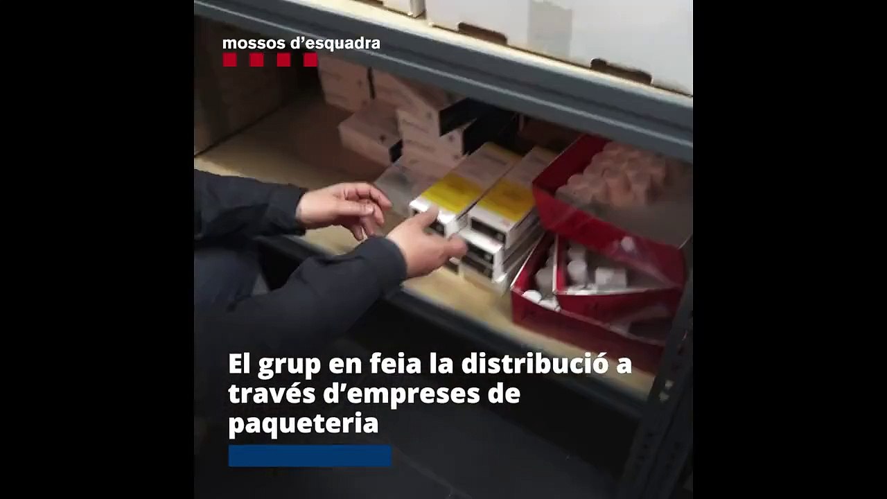 Los Mossos desarticulan un almacén de medicamentos falsos en Barcelona