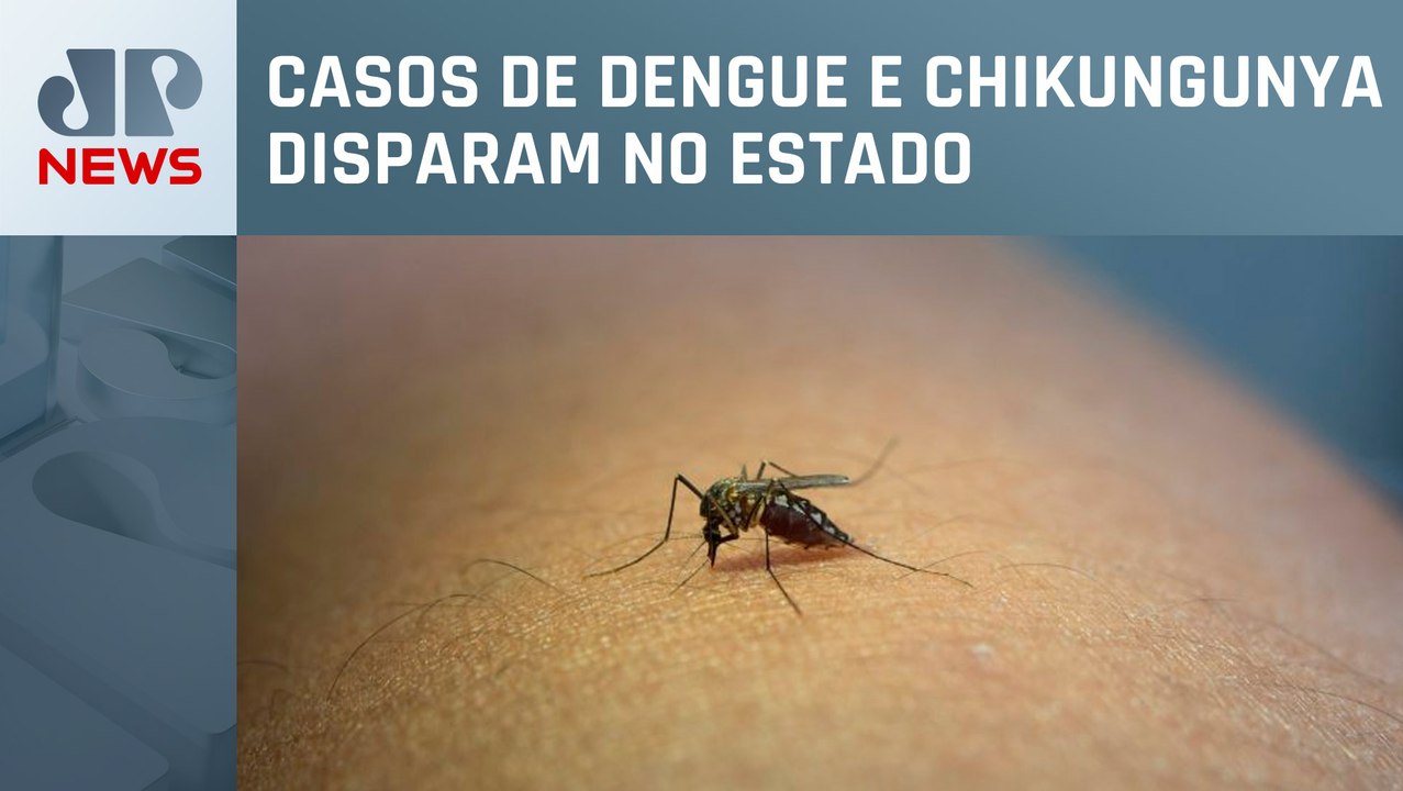 Rio de Janeiro registra primeira morte por dengue em 2023 Vídeo