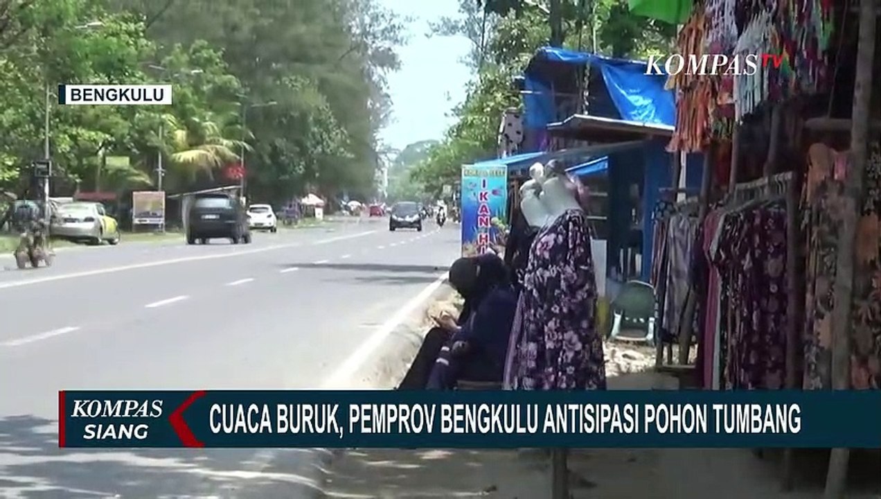 Hindari Insiden Pohon Tumbang Pemprov Bengkulu Minta Pangkas Pohon