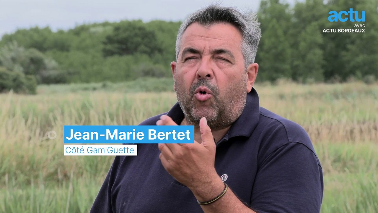 Jean Marie L Ve Des Gambas Dans D Anciens Marais Salants Vid O