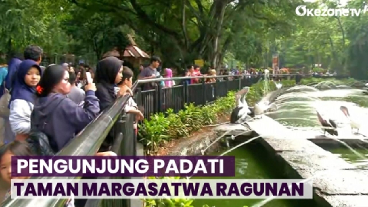 Laporan Dari Tempat Wisata Taman Margasatwa Ragunan Dipadati