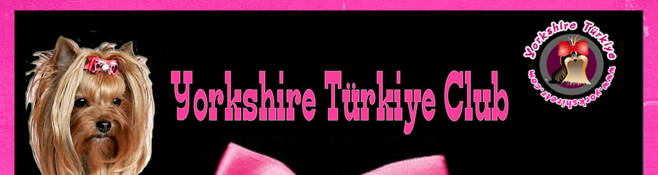 Yorkshire Türkiye Club By Selmin Akdağ