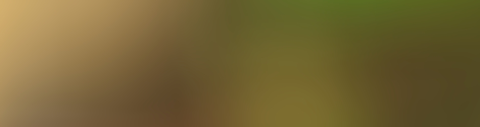 Knuckles / Sparkshot / KnuNetzer