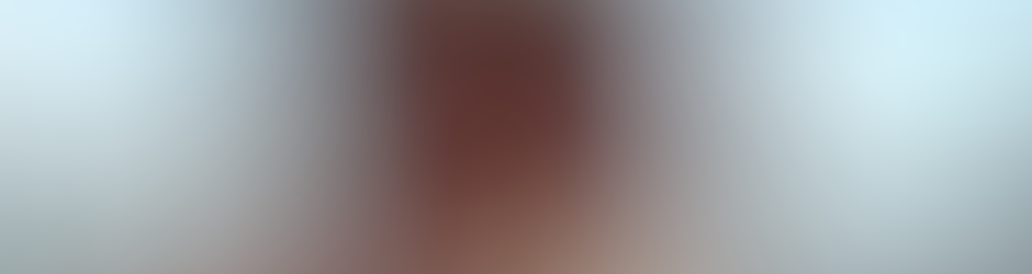 jean-françois DESCLOS