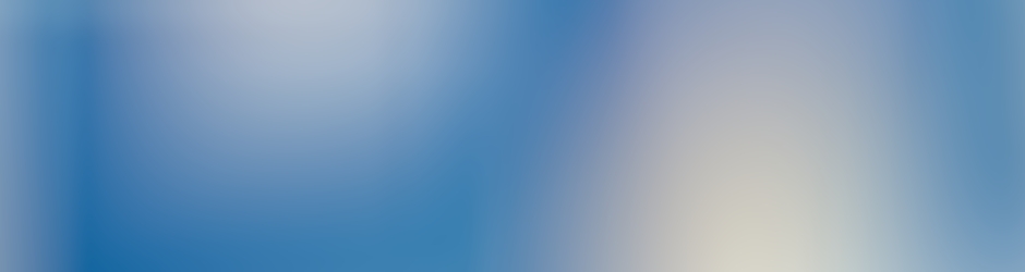 Levallois Metropolitans