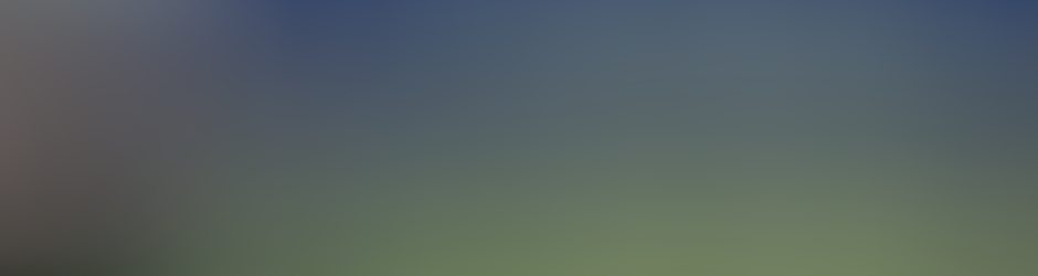 Rafael Dinis Gomes Amaro