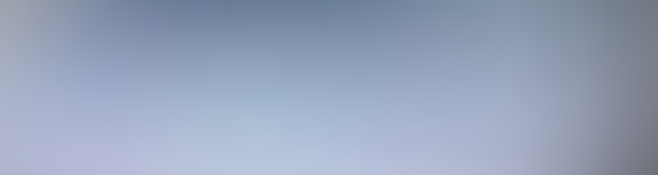 Severine Chamiot Poncet