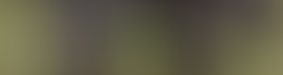 rubisopale les epagneuls de saint usuge chiens de