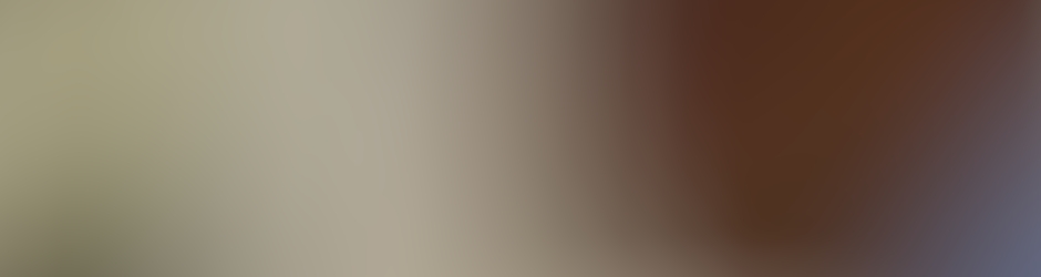 Stéphane CHENEVAS PAULE