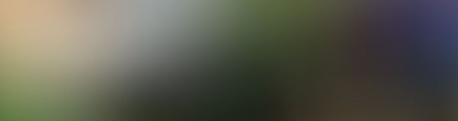 Gontran / Kikukoloko