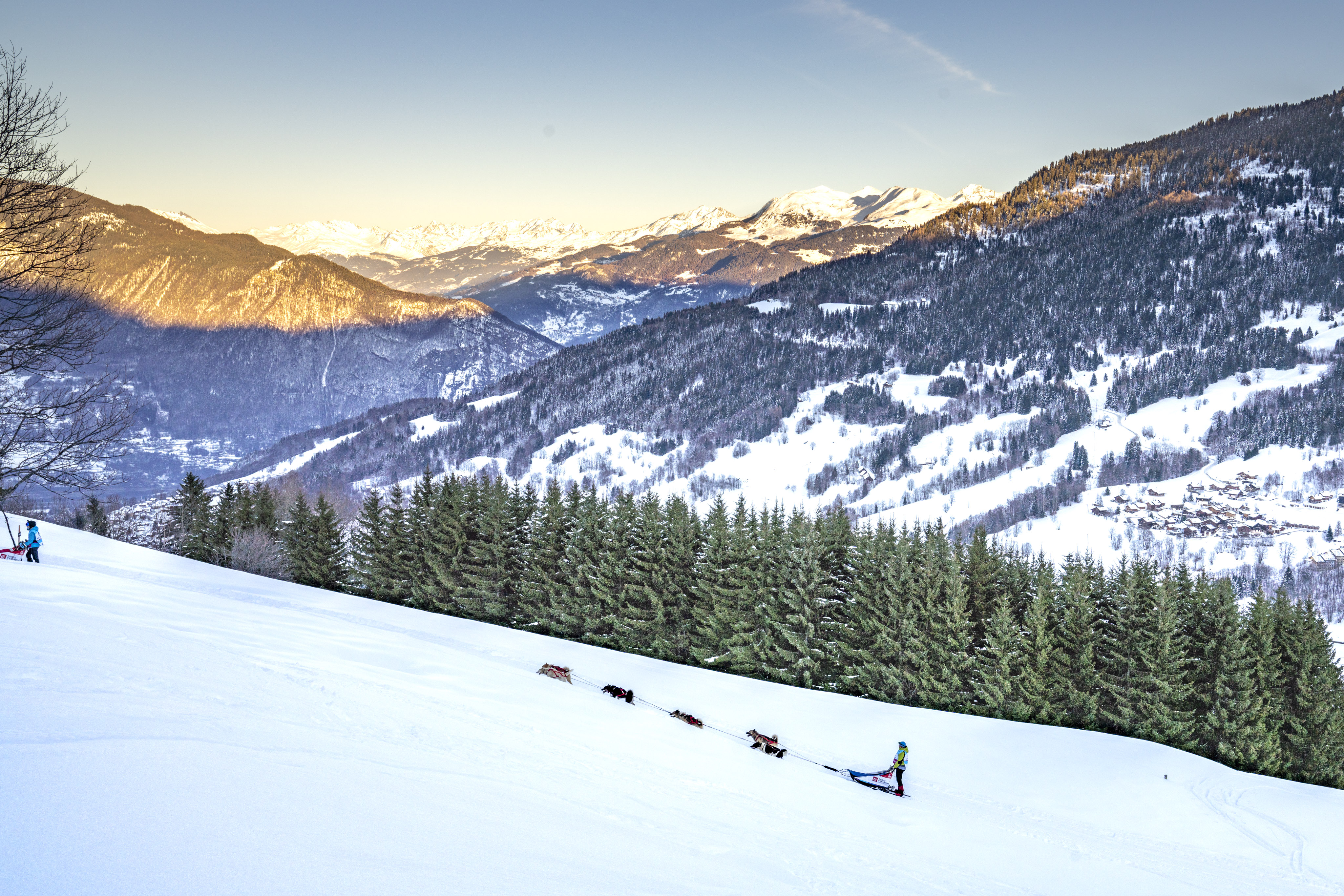 La Grande Odyssée Royal Canin