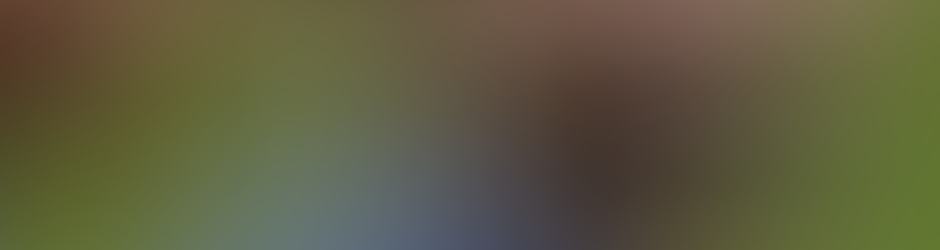 Alain Soral em português