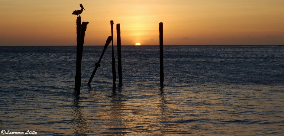 laurence lagny little