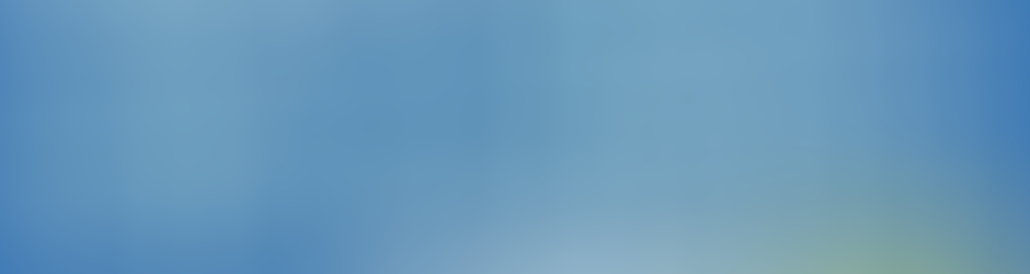 Conseil général 13