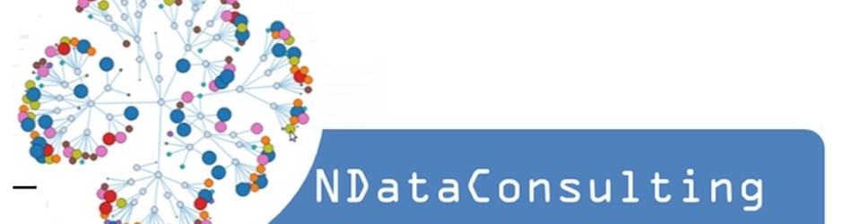 nDataConsulting
