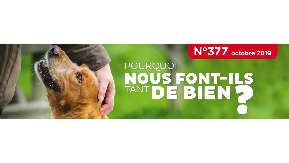 Animaux-Online.com