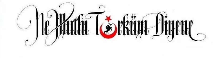 Erhan Yamtar YILDIRIM