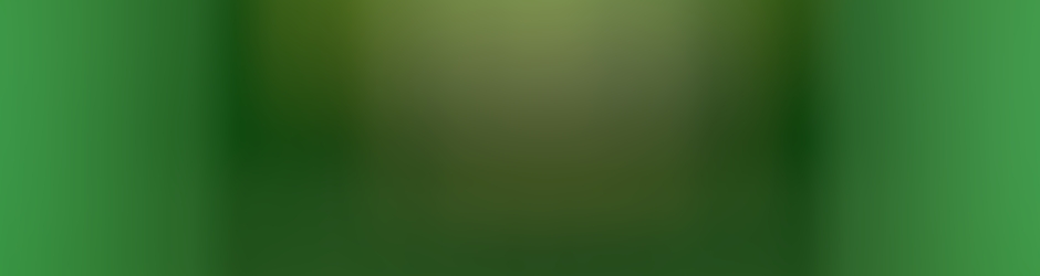 Fotbal Club Zimbru Chisinau Zimbru