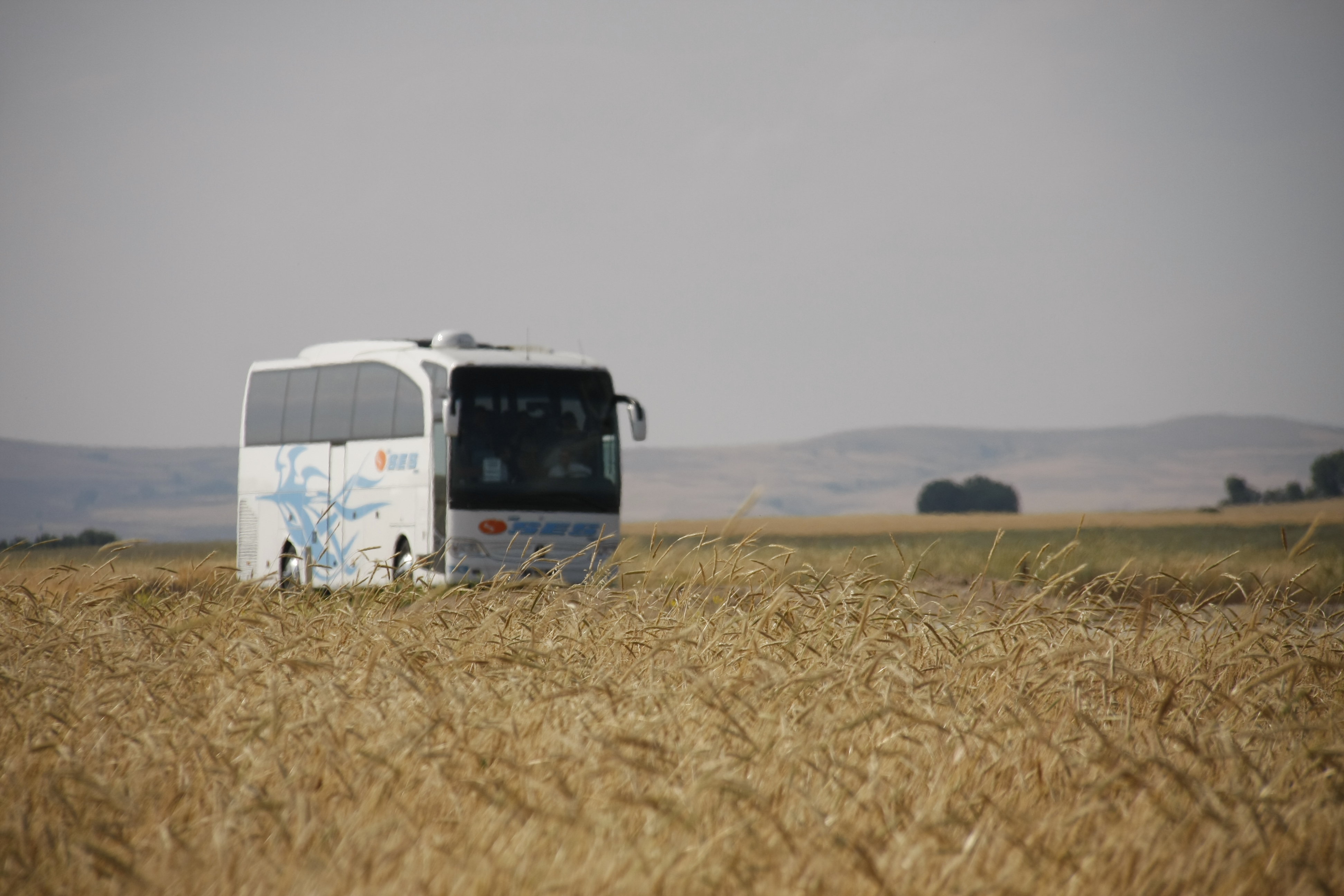 Otobüs Yolculukları