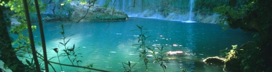 ACTU VARNEWS P.A.C.A