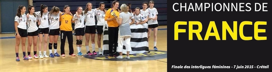 Ligue de Bretagne de Handball