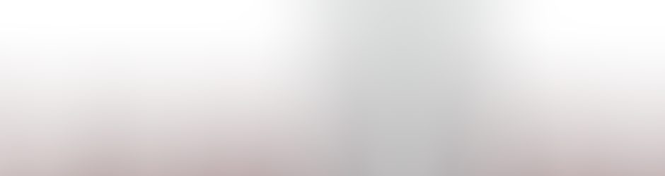 ברק רוזן Canada-Israel Ltd.