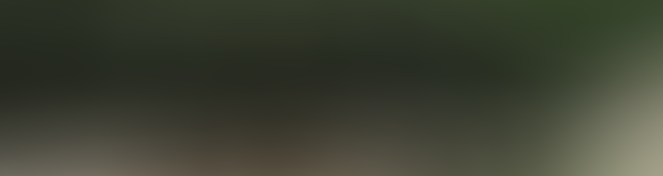 Ecole Primaire de Jury