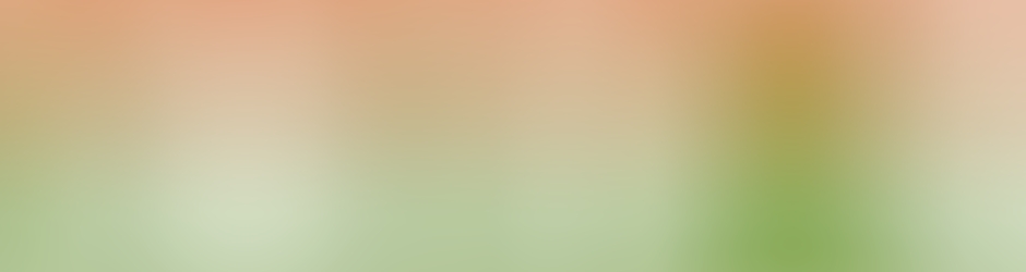 Stéphen SplashQuad Team