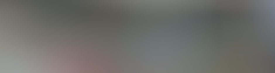 Stephane TEAM LES SPEEDANTES