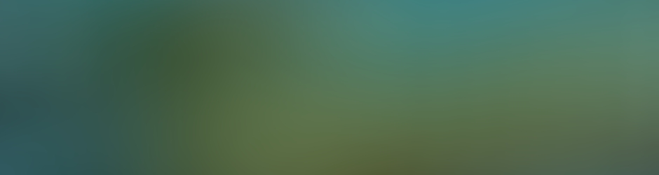 Esteban De Vasconcellos