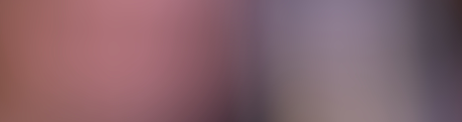 sébastien Blanchetiere, Sébastien