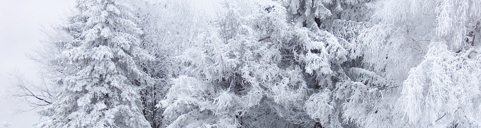 Henrietta-Aime-Fumer_Tv