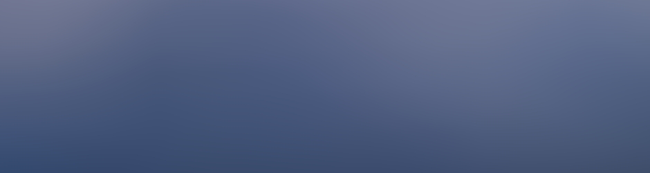 Eric Chapotat   / Prarion-Stores