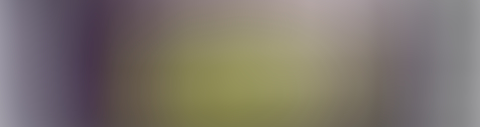 Observatoire de la Franchise