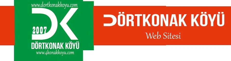 Mehmet Yücel ERGİN