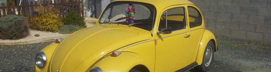 galinette 85 (aurélien)