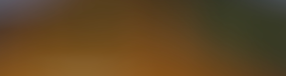 MAGASIN - Centre National d'Art Contemporain