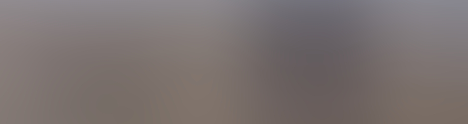 francois-honvault laurent